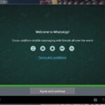 WhatsApp Desktop Video Call